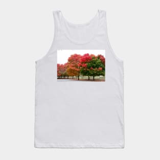 Fall autumn trees changing leaves Tank Top